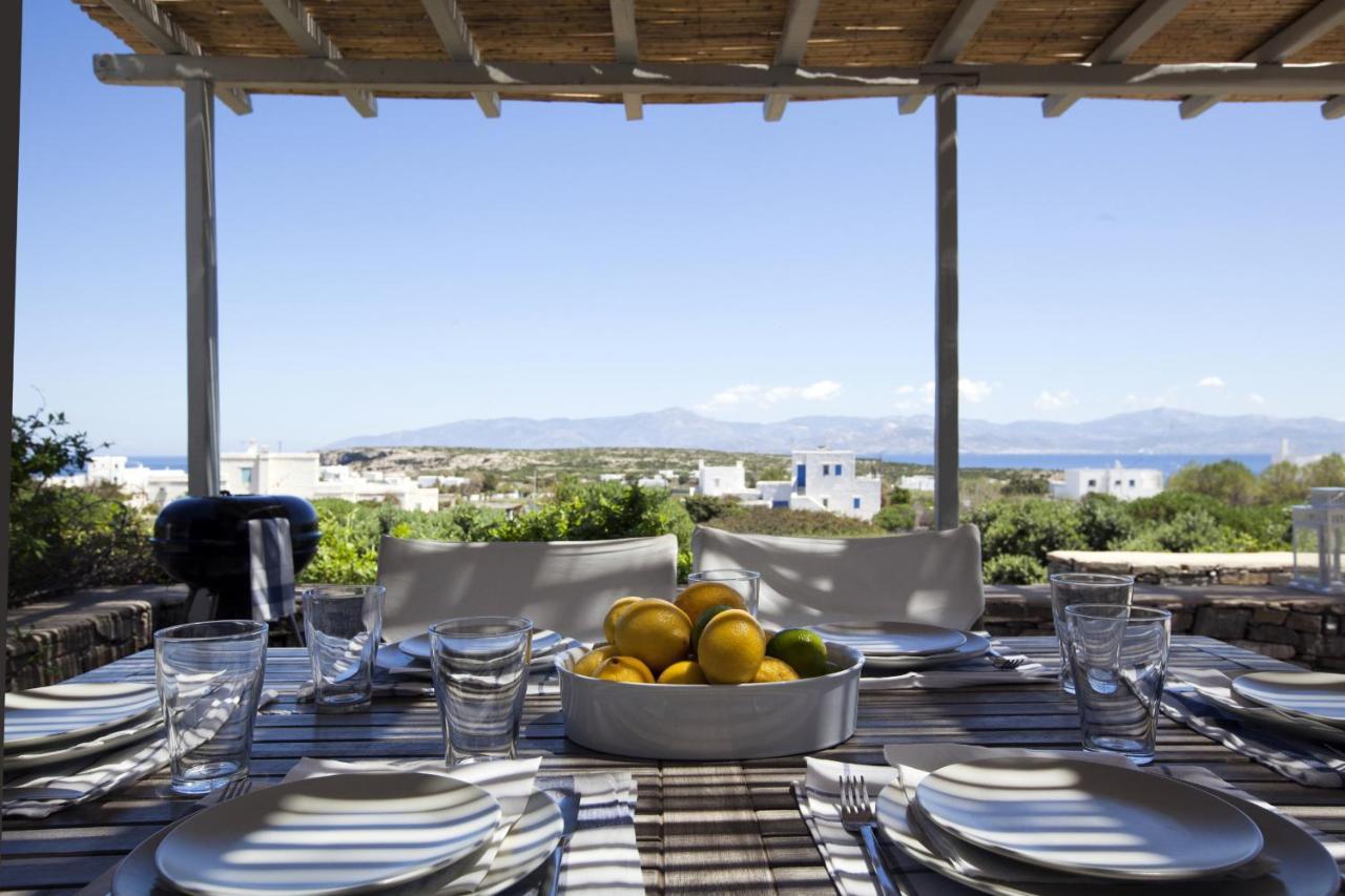Kallisti Daphne - Gorgeous Villa - An Oasis For 8 People Naousa  Exterior photo